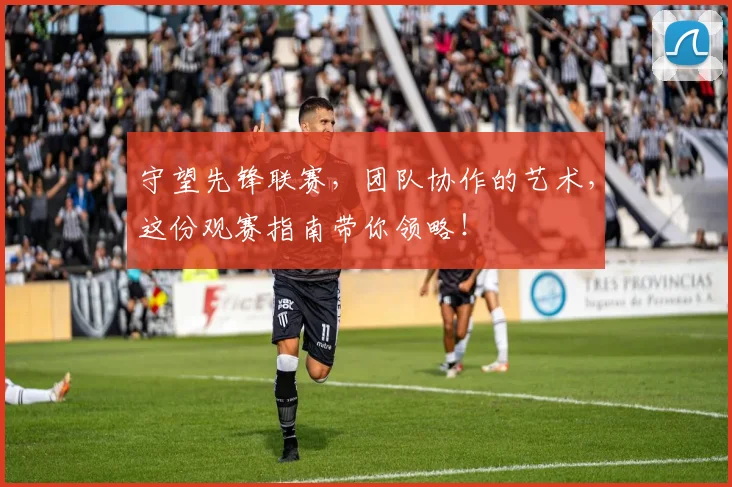 守望先锋联赛,团队协作的艺术,这份观赛指南带你领略!