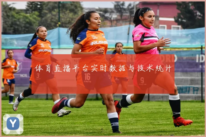 体育直播平台实时数据与技术统计