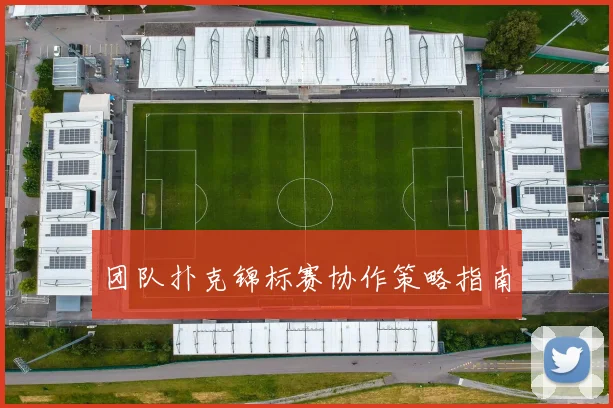 团队扑克锦标赛协作策略指南