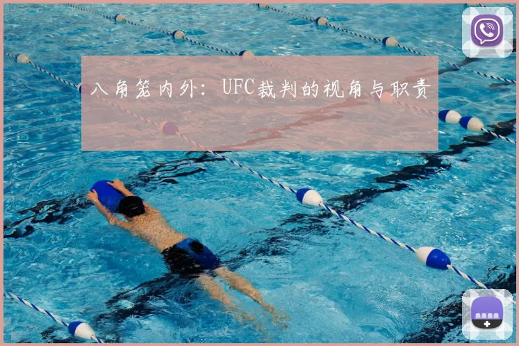 八角笼内外:UFC裁判的视角与职责