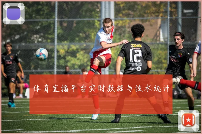 体育直播平台实时数据与技术统计