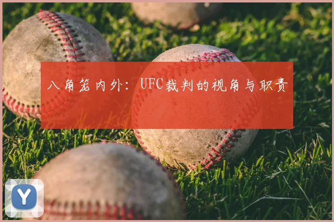 八角笼内外：UFC裁判的视角与职责