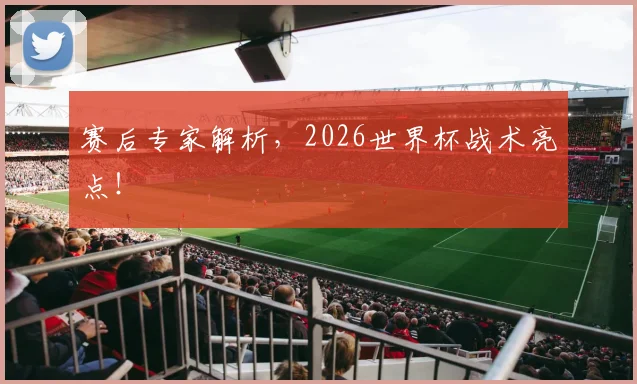 赛后专家解析,2026世界杯战术亮点!