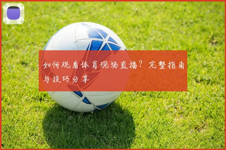 如何观看体育现场直播?完整指南与技巧分享