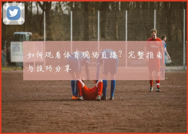 如何观看体育现场直播?完整指南与技巧分享