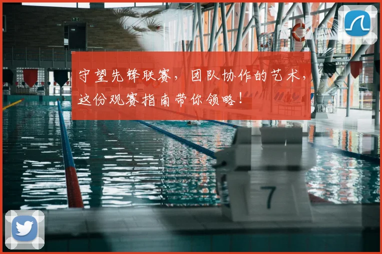 守望先锋联赛，团队协作的艺术，这份观赛指南带你领略！